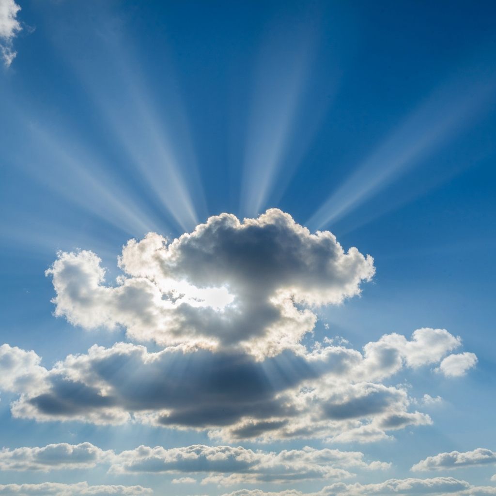 Слънчева светлина